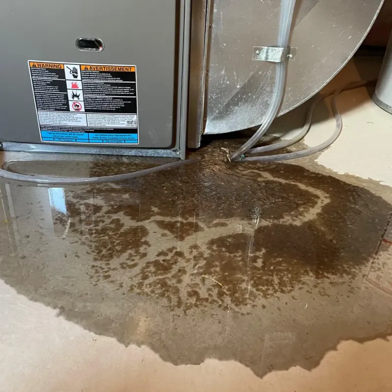 Appliance Leak Cleanup in Union County, NC